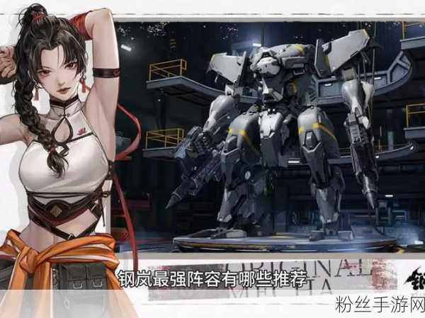 钢岚开局阵容搭配攻略与趣味玩法揭秘