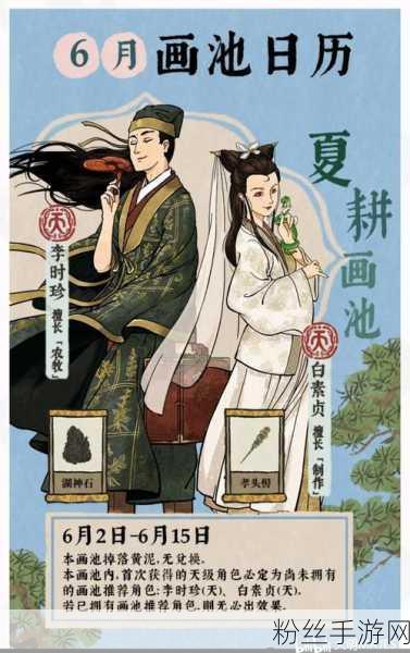 江南百景图龟壳珍宝全解析,解锁理财新境界