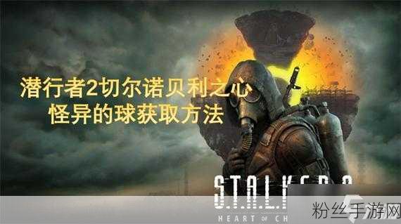 潜行者2怪异的球获取攻略及趣味玩法揭秘