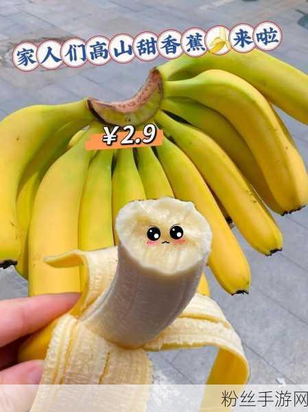 8zye.com香蕉视频:当然可以,以下是一些关于香蕉视频的扩展标题建议: