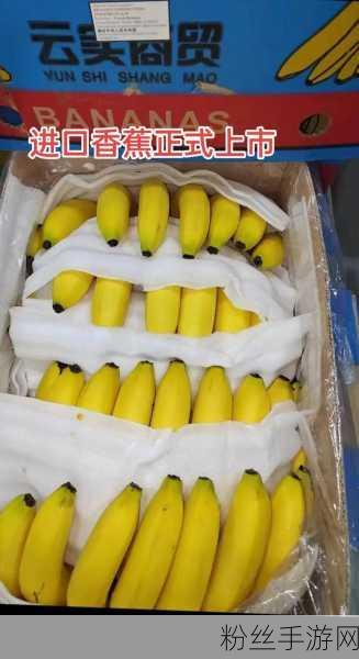 8zye.com香蕉视频:当然可以,以下是一些关于香蕉视频的扩展标题建议: