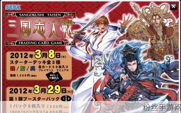 三国志大战TCG独特系统揭秘,策略与卡牌碰撞的史诗对决