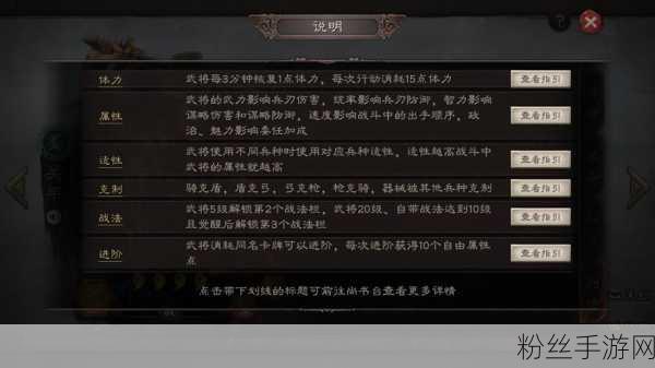 三国志大战TCG独特系统揭秘,策略与卡牌碰撞的史诗对决