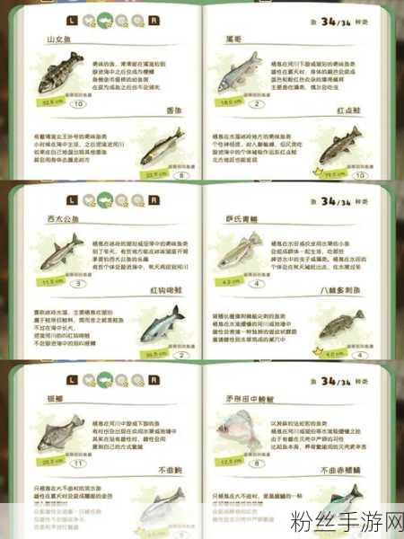 星露谷物语深度攻略，全面掌握煤炭获取秘籍，加速财富积累，解锁趣味玩法！