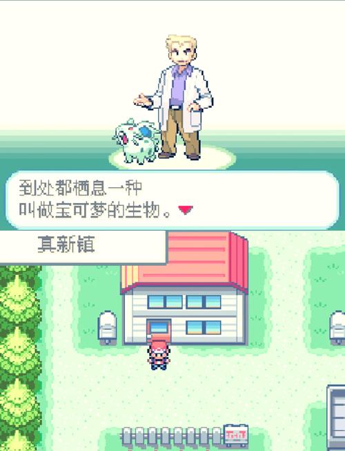 月之石，口袋妖怪黑白新纪元震撼发布，探索未知妖怪世界的冒险之旅！