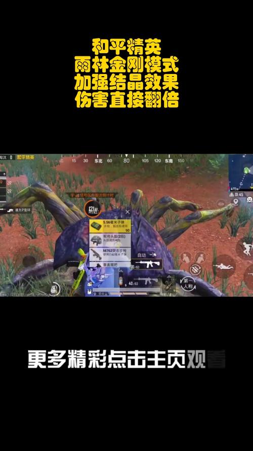 和平精英金刚模式全面解析,探索未知,挑战极限!