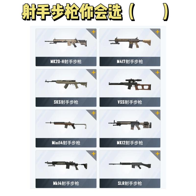 和平精英真正的射手之王,揭秘射手核心魅力与顶级装备的秘密力量