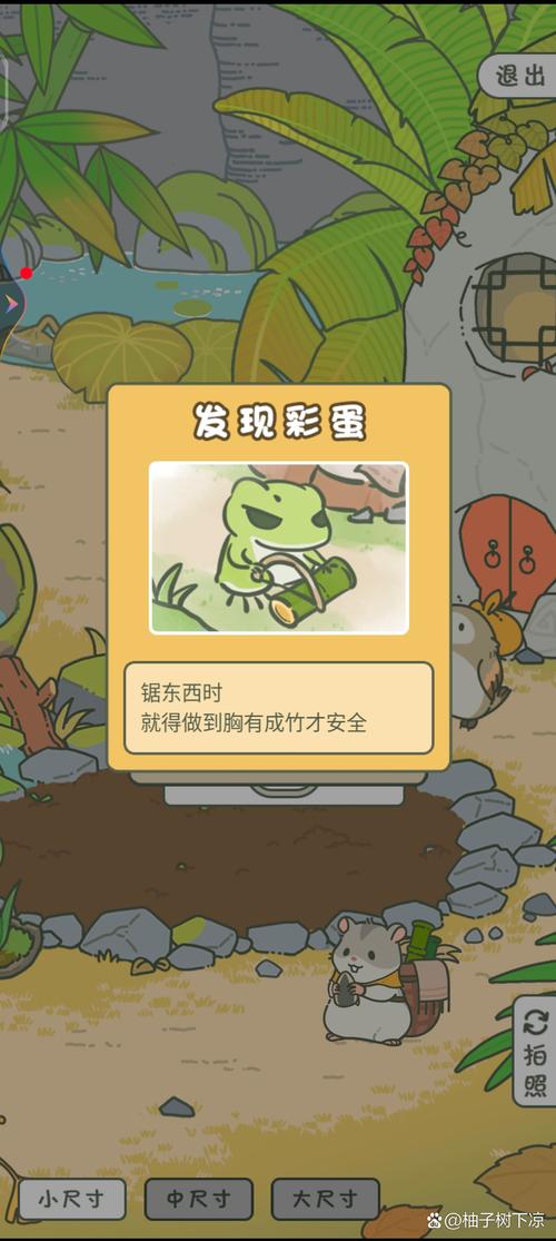 旅行青蛙游戏攻略,如何拍出完美照片,深度评价这款治愈系手游