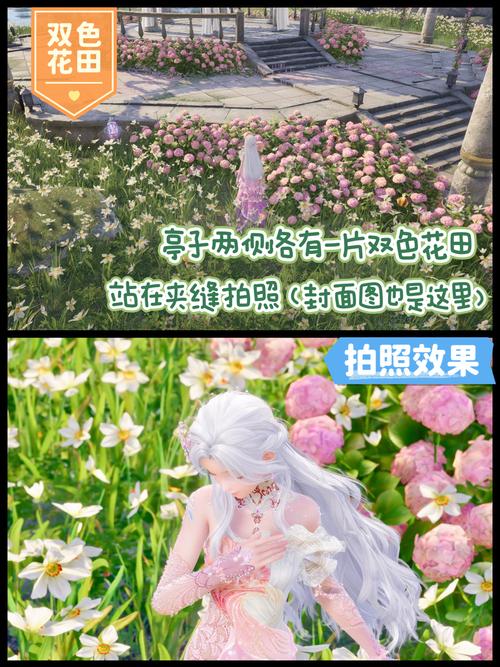 无限暖暖天鹅羽亭任务全攻略,解锁微风绿野的浪漫圣地