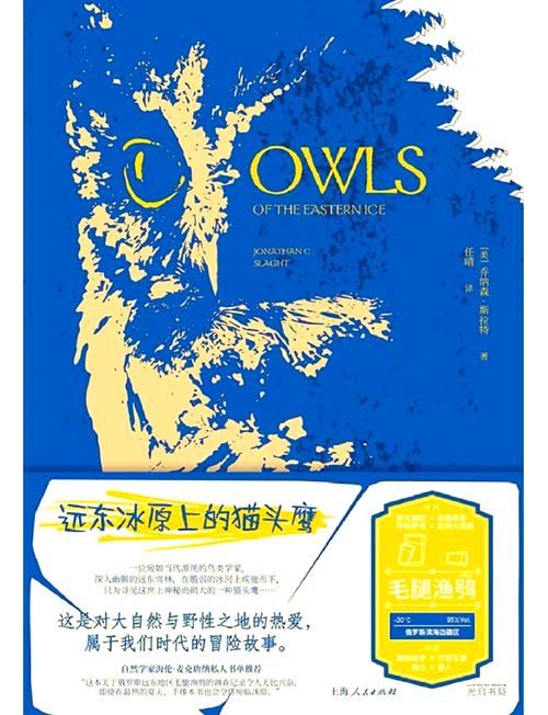 冰原守卫者20级后,未知冒险新篇章悬念迭起,探索无限可能!