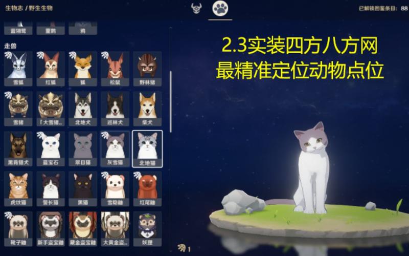 原神四方八方之网道具获取攻略与使用技巧全面解析