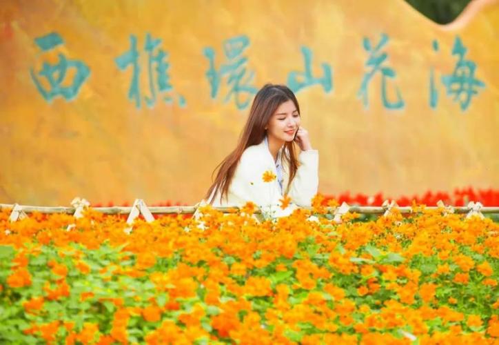 大话西游手游赏花会全攻略,趣味玩法带你领略花海盛宴