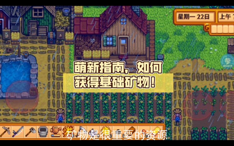 星露谷物语地窖使用深度指南,揭秘财富累积与品质飞跃的奥秘