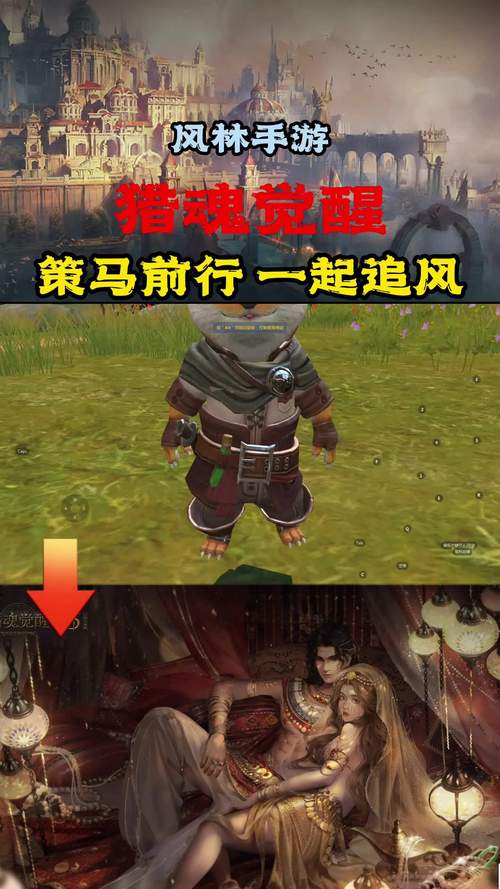 猎魂觉醒双剑巨蛙铠骨混搭心得，打造独特战斗风格，探索无限可能