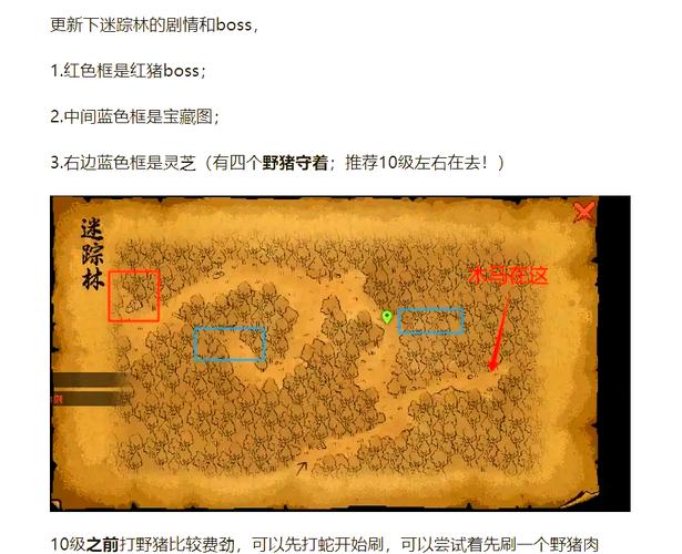 大侠立志传,勇闯迷踪林的通关秘籍