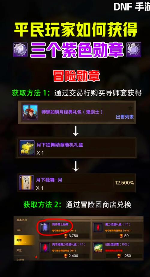 DNF手游高效全面勋章获取攻略，解锁隐藏玩法，速通荣耀之路