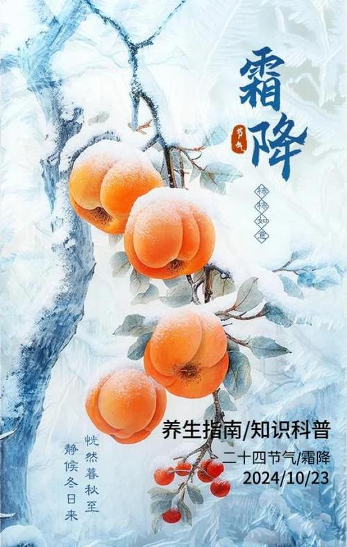 桃源深处有人家,霜降节气活动全攻略指南