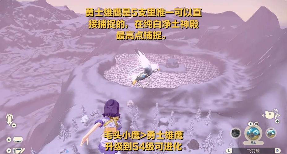 我的世界宝可梦剑盾,如何获得传说级宝可梦阿尔宙斯?
