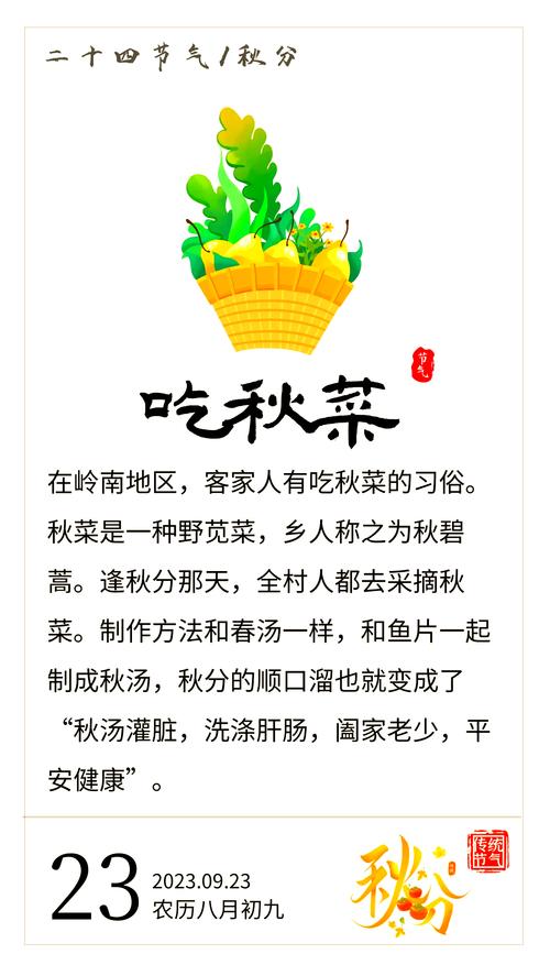 秋分时节,探索手游奇妙世界与秋菜奥秘