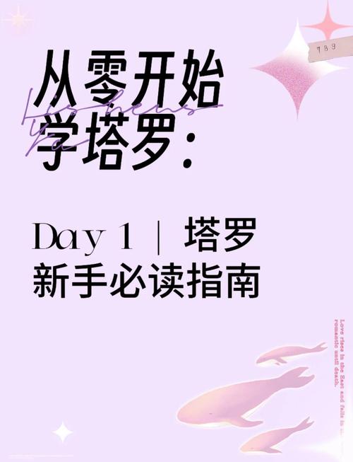 伊洛纳新手入门全攻略,从零开始的奇幻冒险之旅