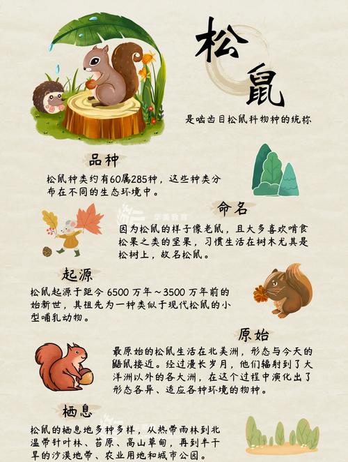 探索我的奇幻世界，驯服与捕捉神秘松鼠的终极攻略指南