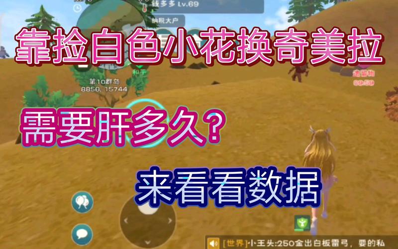创造与魔法手游探索，揭秘橙色小花最多的宝藏之地