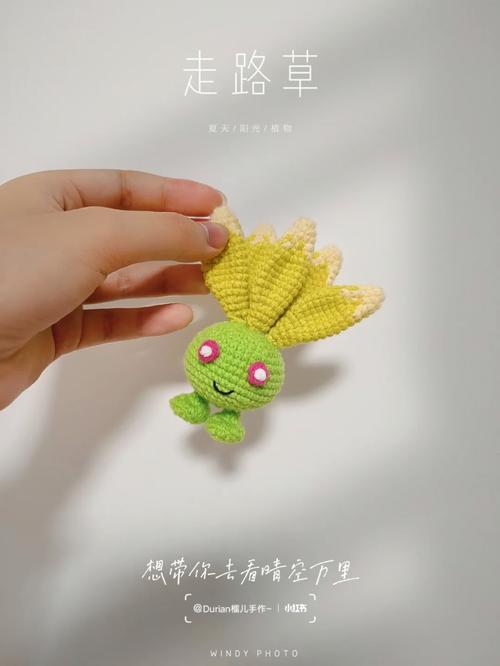 宝可梦探险寻宝走路草食谱攻略,解锁神秘草系伙伴的奇妙之旅