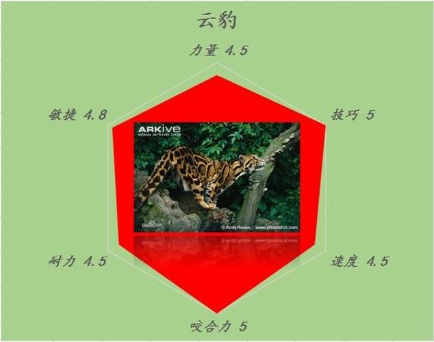 动物王者公测疑难全解,畅玩无忧指南