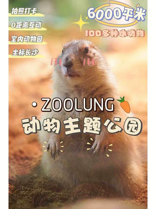 文字玩出花糟心动物园关卡全攻略指南