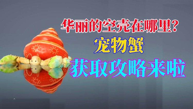 黑色沙漠手游华丽空壳位置攻略及游戏详尽指南