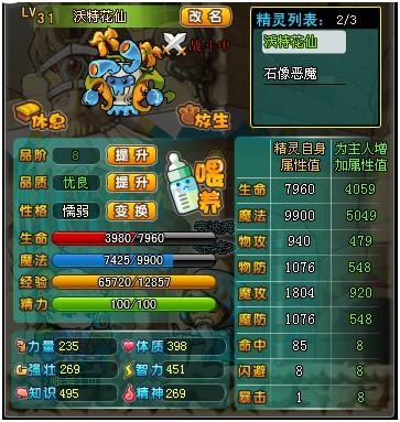 冒险王3D宠物进阶全攻略,解锁宠物培养与升级新境界