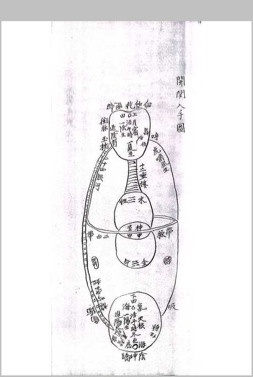 九转金丹诀,探索最强祖师之路,解锁至高修炼秘籍