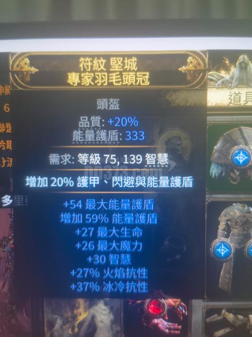 探秘流放之路盾牌化石配方,解锁神秘防御之秘