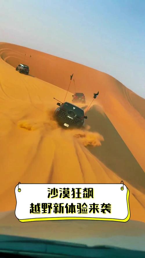 沙漠夜间驾驶安卓版震撼发布,炫酷豪车,热血竞速,驰骋无垠沙海!