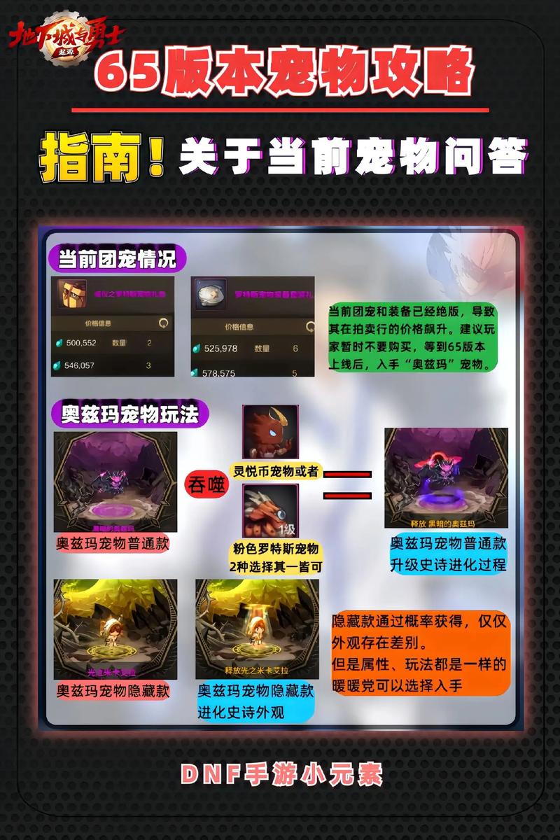 DNF手游宠物哈艮地全面解析,属性、获取及趣味玩法揭秘