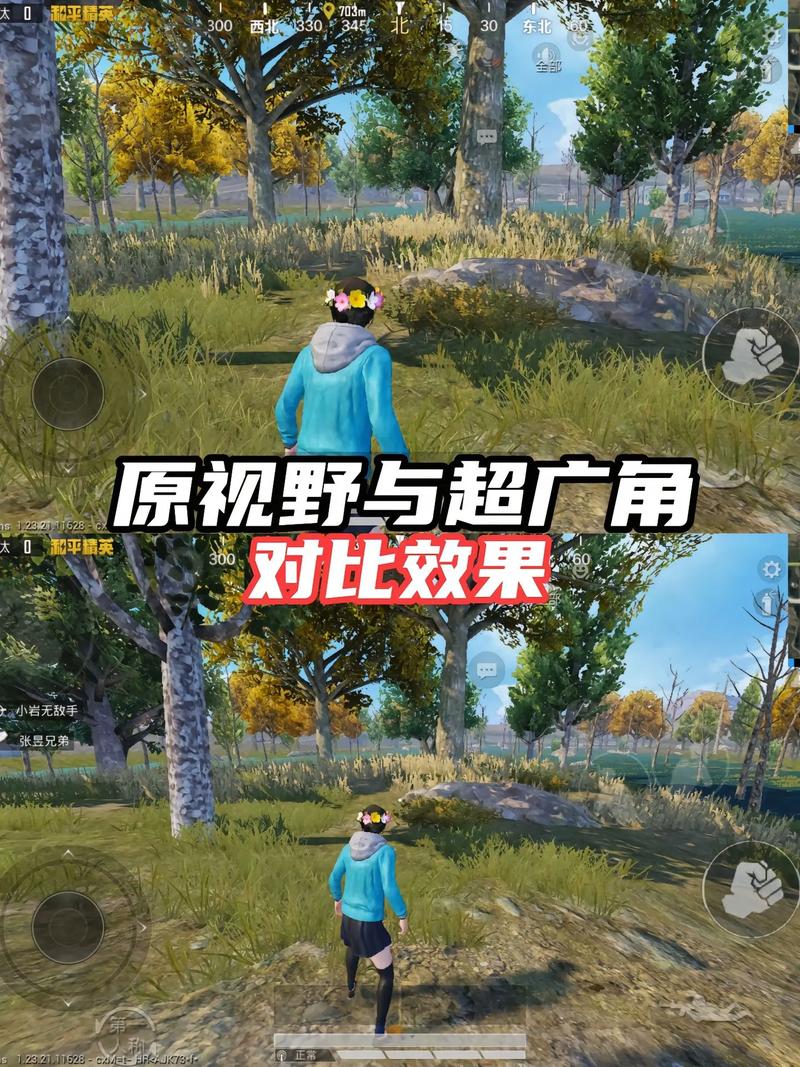 和平精英超广角开启攻略,解锁极致视野,畅享战斗乐趣