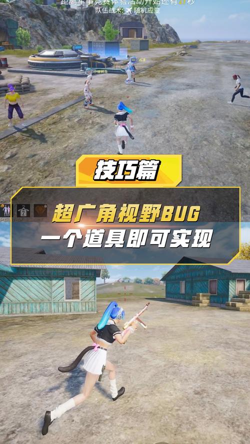 和平精英超广角开启攻略,解锁极致视野,畅享战斗乐趣