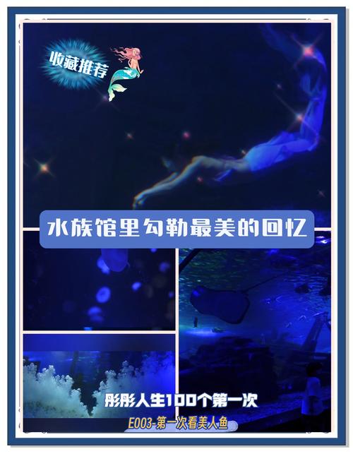 虚无鱼中文版震撼发布,独特宠物养成新体验,探索未知的水下世界!