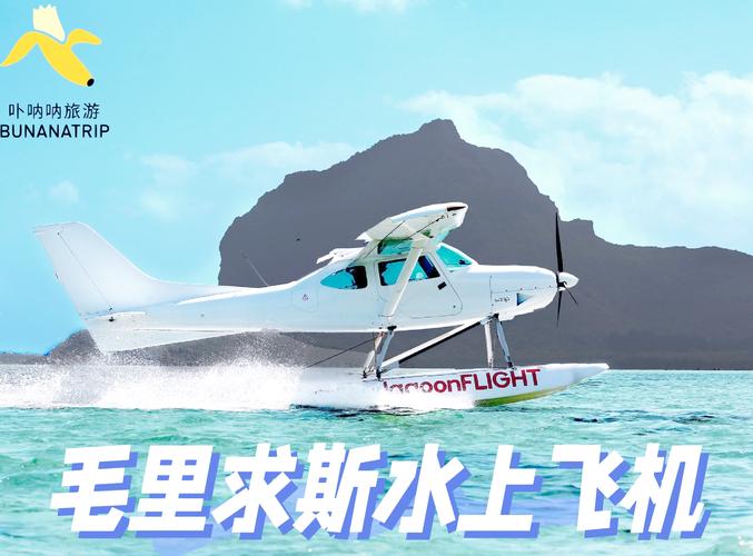 真实海上生存最新版本震撼发布,打造你的海上帝国,体验极致模拟经营乐趣!