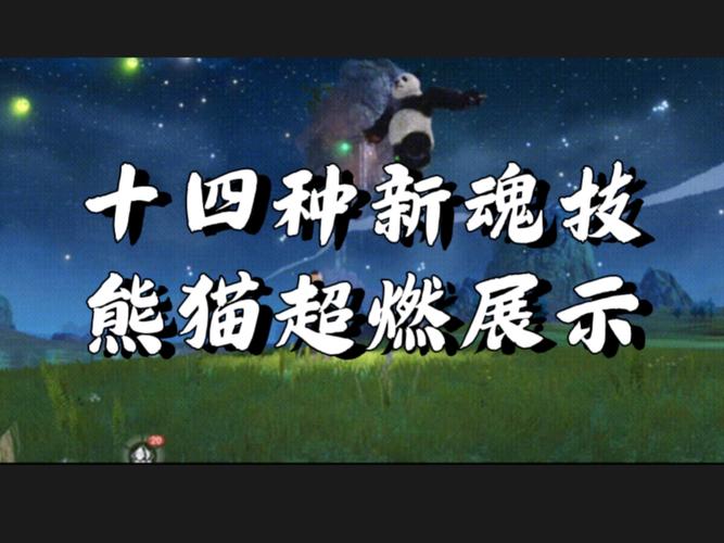 QQ飞车手游新宠爆料,战神熊猫稀有度揭秘及趣味玩法大赏