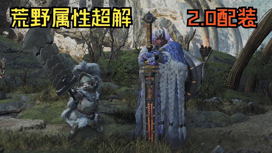 怪物猎人,超解流盾斧传奇揭秘——掌握超解流盾斧的奥秘与魅力