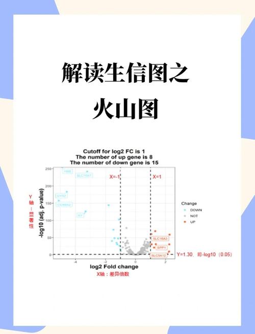 迷你世界火山探索指南,揭秘火山坐标与趣味玩法