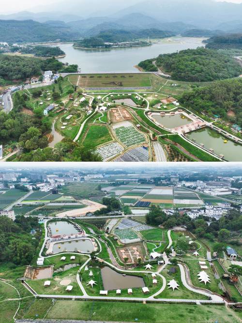 射雕手游吟咏名胜篇琼岛春阴全攻略,解锁海岛奇遇,探寻春日秘境