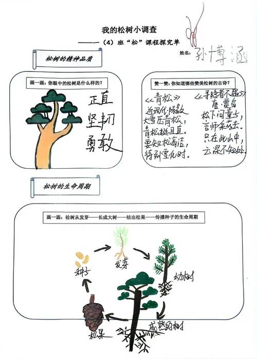 小森生活露桑松木采集攻略及趣味玩法详解